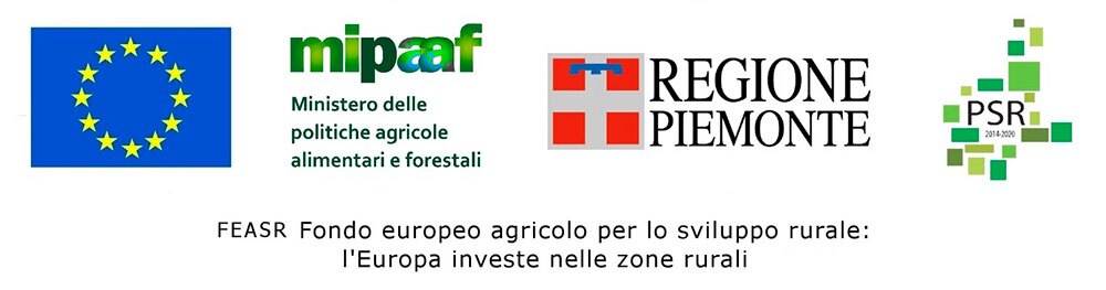bando progetto riso amico una garlanda