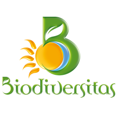 biodiversitas una garlanda Azienda BIOLOGICA con semi certificati BIO biodiversitas