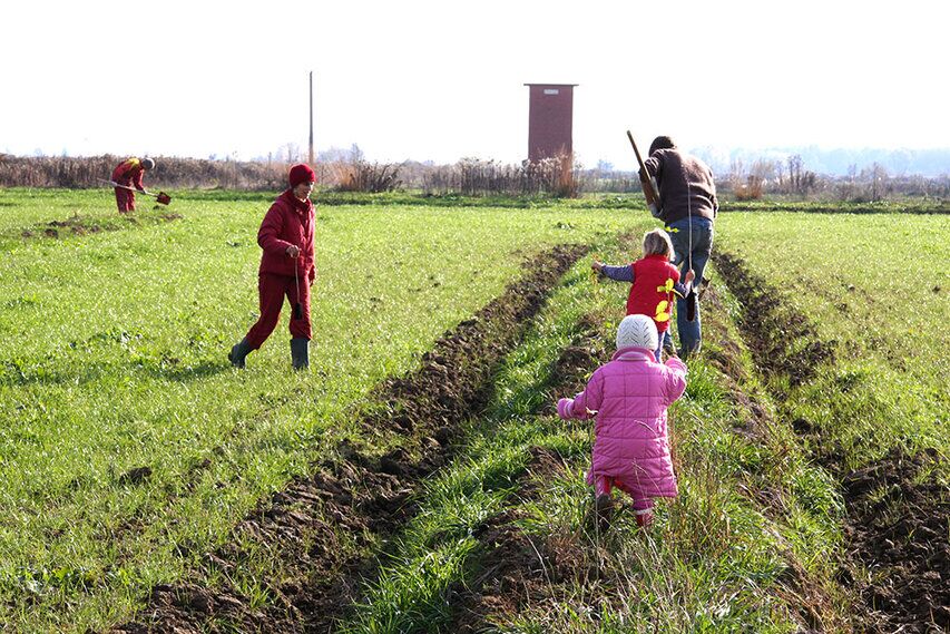 16.11.13-Piantumazione-baraggia-(30).jpg